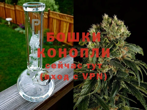 молекула духа Нягань