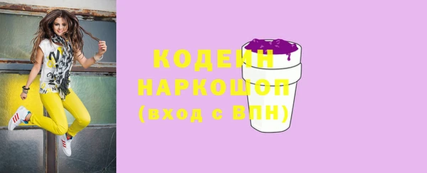 2c-b Новозыбков
