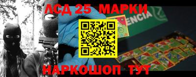 кокс Гатчина