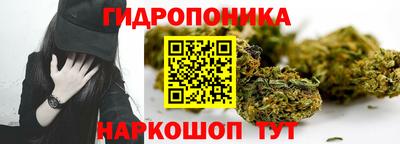 гидра Заволжье
