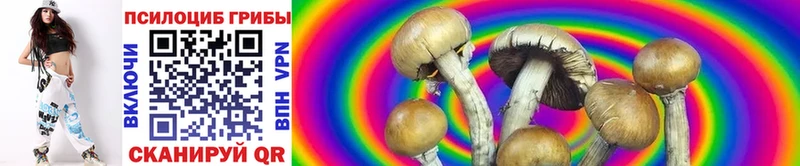 ОМГ ОМГ зеркало  как найти закладки  Изобильный  Псилоцибиновые грибы Psilocybine cubensis 