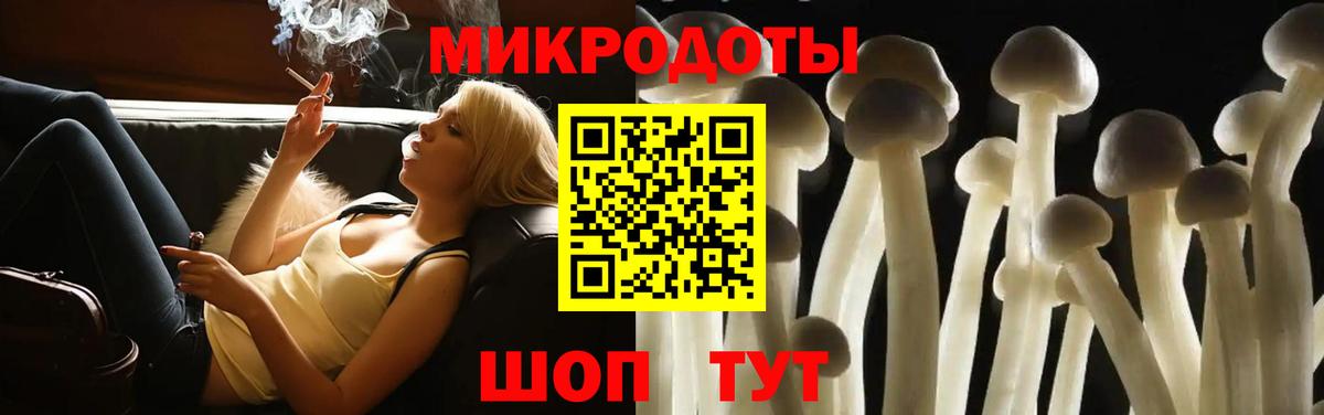 Галлюциногенные грибы мицелий Изобильный